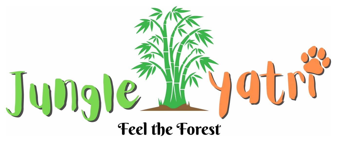 Jungleyatri — Feel the Forest